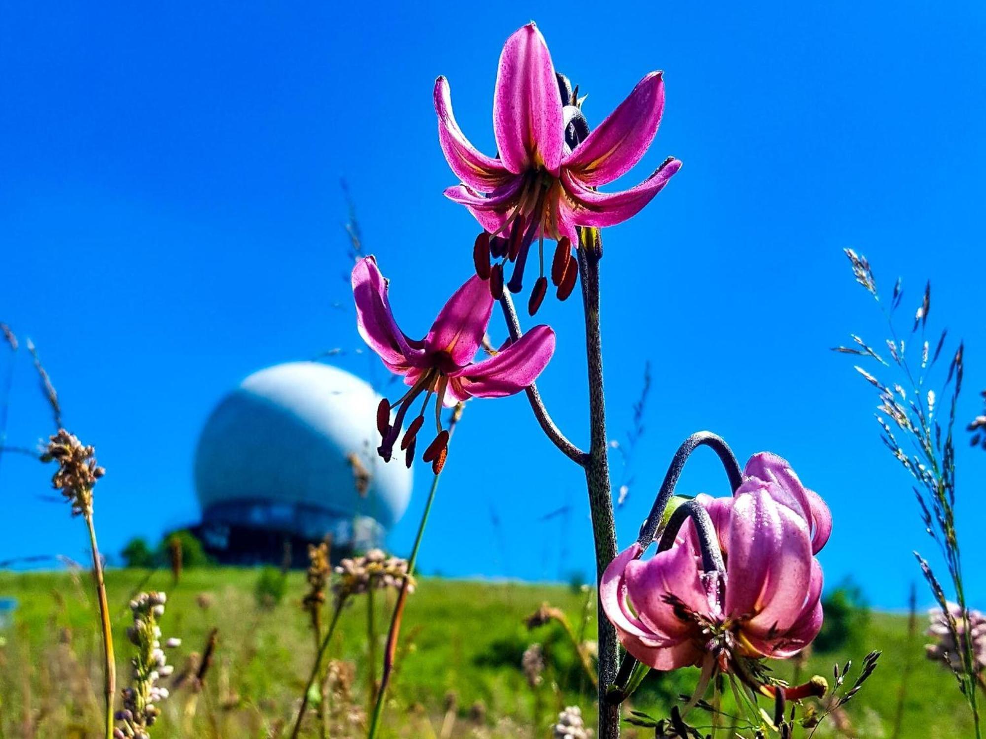 Peterchens Mondfahrt - Wasserkuppe Gersfeld Buitenkant foto